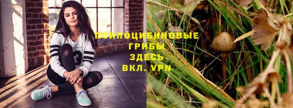 мет Аркадак