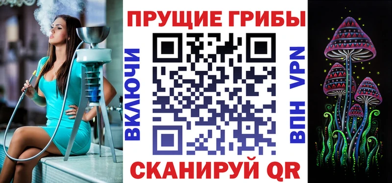 блэк спрут ссылка  Россошь  Галлюциногенные грибы Cubensis 